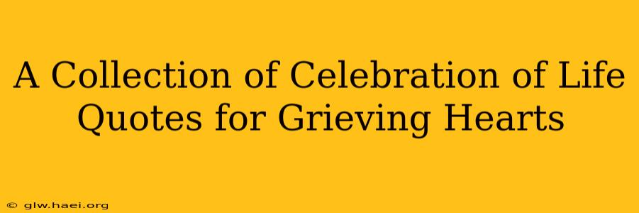 A Collection of Celebration of Life Quotes for Grieving Hearts