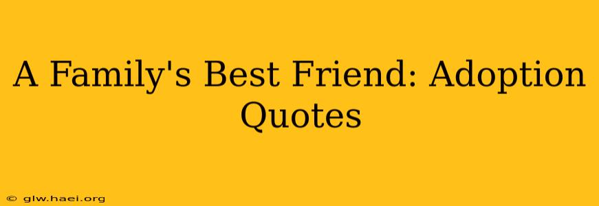 A Family's Best Friend: Adoption Quotes