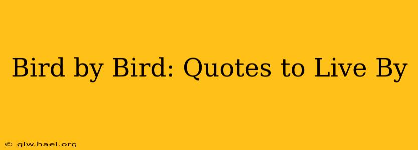 Bird by Bird: Quotes to Live By