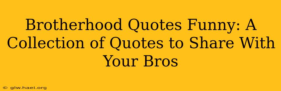 Brotherhood Quotes Funny: A Collection of Quotes to Share With Your Bros