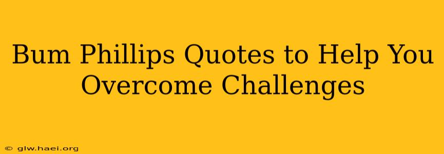 Bum Phillips Quotes to Help You Overcome Challenges