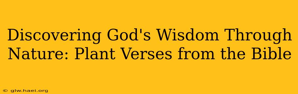 Discovering God's Wisdom Through Nature: Plant Verses from the Bible