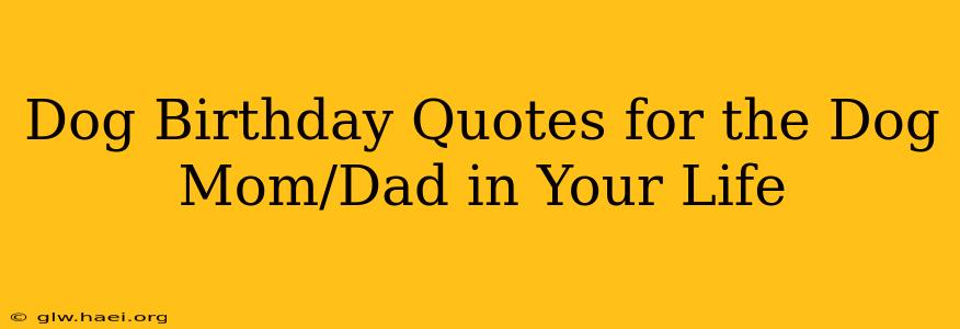 Dog Birthday Quotes for the Dog Mom/Dad in Your Life