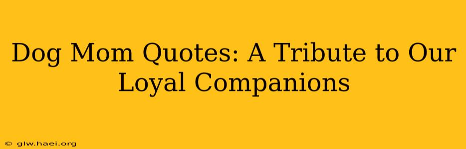 Dog Mom Quotes: A Tribute to Our Loyal Companions
