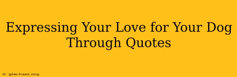 Expressing Your Love for Your Dog Through Quotes