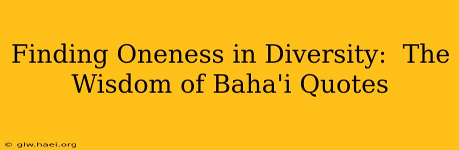 Finding Oneness in Diversity:  The Wisdom of Baha'i Quotes