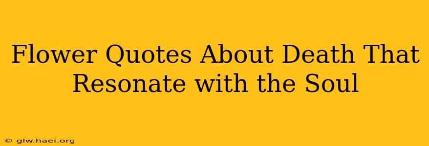 Flower Quotes About Death That Resonate with the Soul