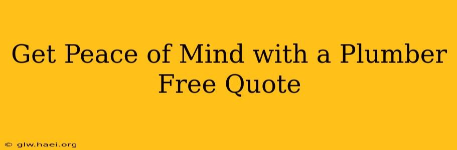 Get Peace of Mind with a Plumber Free Quote