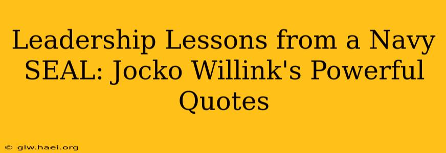 Leadership Lessons from a Navy SEAL: Jocko Willink's Powerful Quotes