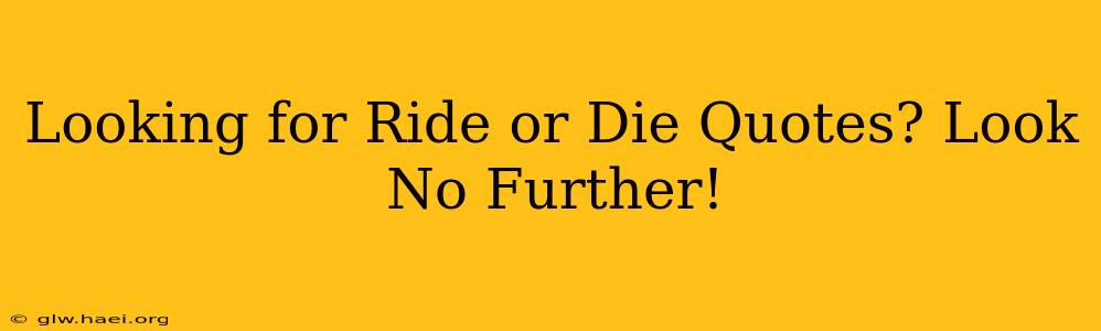 Looking for Ride or Die Quotes? Look No Further!