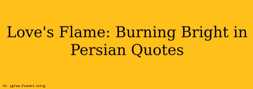 Love's Flame: Burning Bright in Persian Quotes