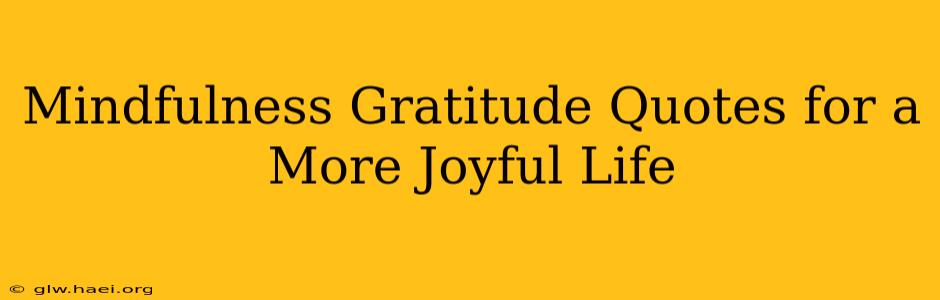 Mindfulness Gratitude Quotes for a More Joyful Life