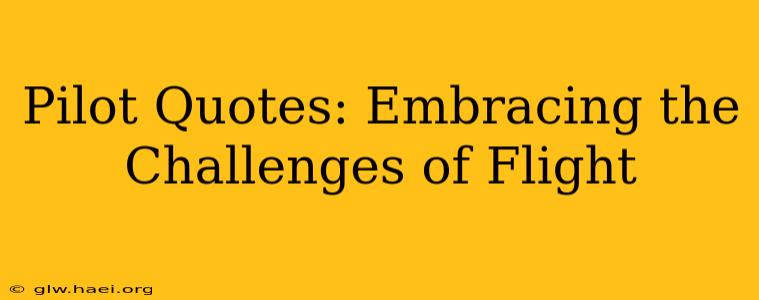 Pilot Quotes: Embracing the Challenges of Flight