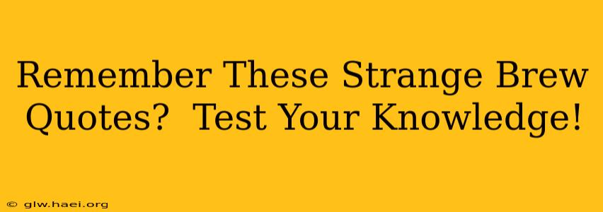 Remember These Strange Brew Quotes?  Test Your Knowledge!