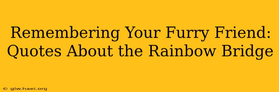 Remembering Your Furry Friend: Quotes About the Rainbow Bridge