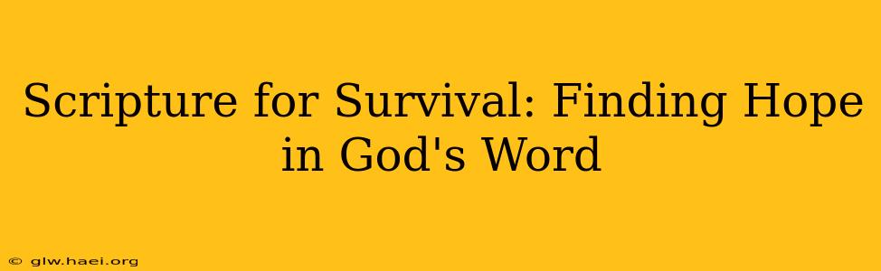 Scripture for Survival: Finding Hope in God's Word