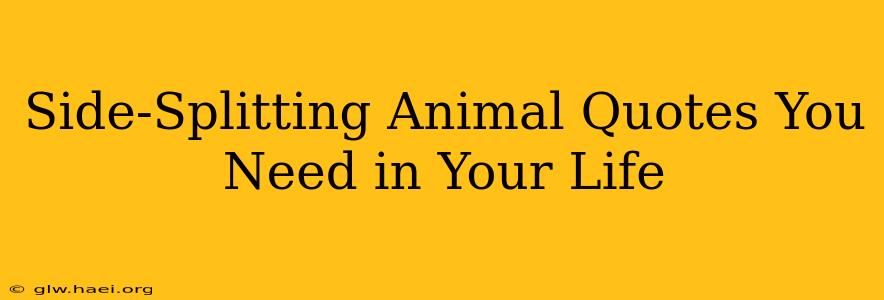 Side-Splitting Animal Quotes You Need in Your Life