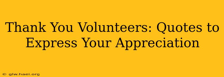 Thank You Volunteers: Quotes to Express Your Appreciation