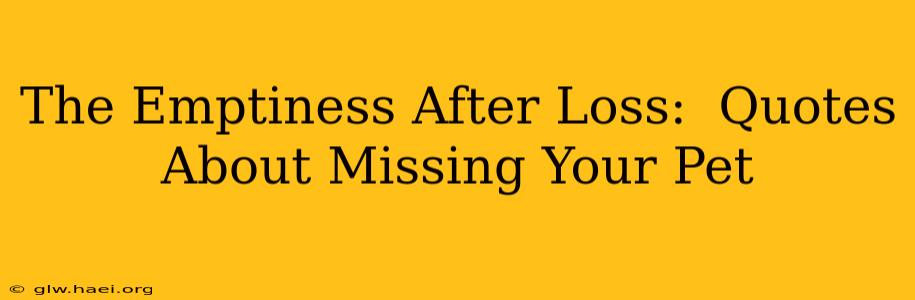 The Emptiness After Loss:  Quotes About Missing Your Pet