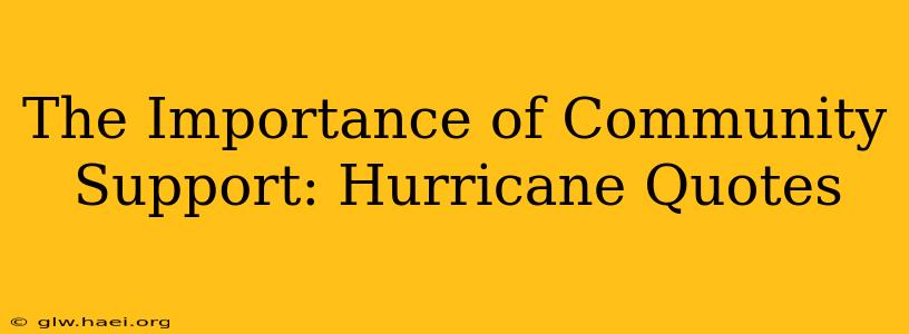 The Importance of Community Support: Hurricane Quotes