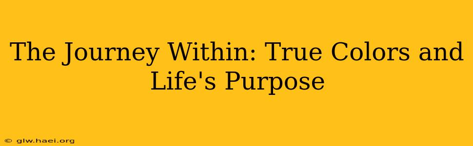 The Journey Within: True Colors and Life's Purpose