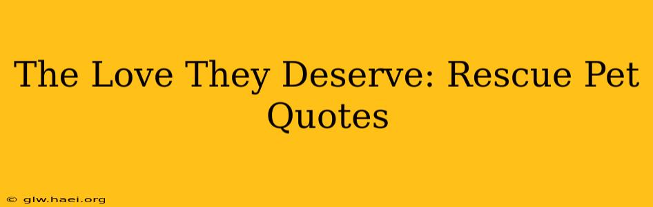 The Love They Deserve: Rescue Pet Quotes