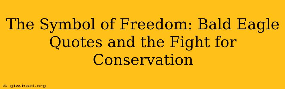 The Symbol of Freedom: Bald Eagle Quotes and the Fight for Conservation