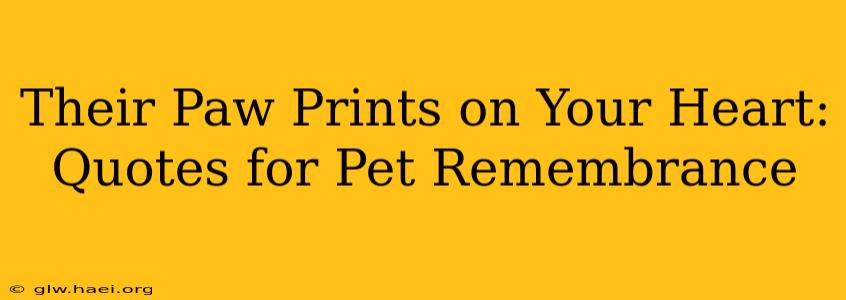 Their Paw Prints on Your Heart: Quotes for Pet Remembrance