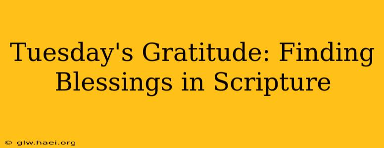 Tuesday's Gratitude: Finding Blessings in Scripture