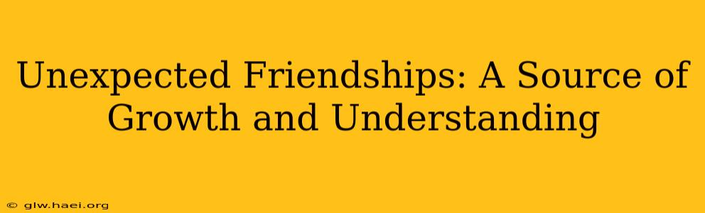 Unexpected Friendships: A Source of Growth and Understanding