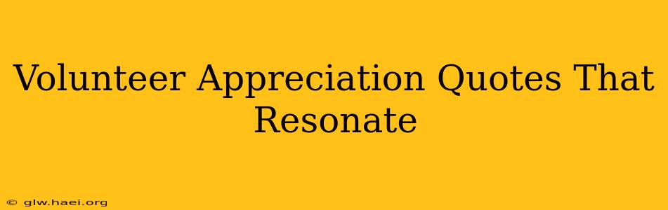 Volunteer Appreciation Quotes That Resonate